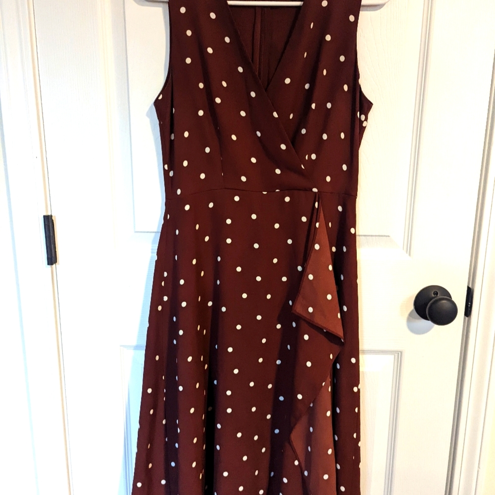 Ann Taylor Poka Dot Dress